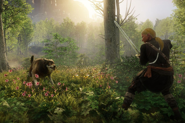 New World — одна из игр Amazon Game Studios на движке Lumberyard.