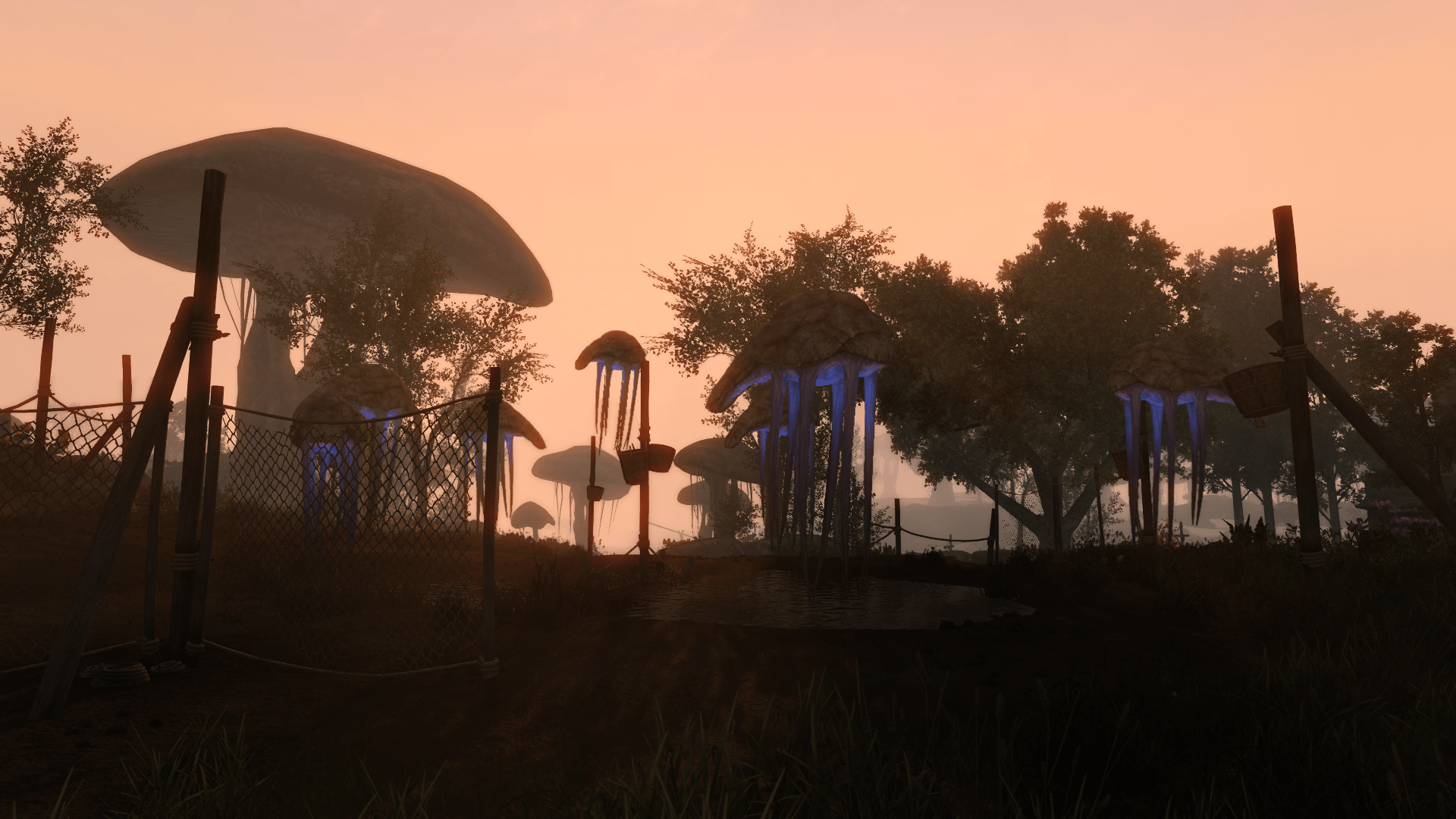 Morrowind overhaul steam фото 46