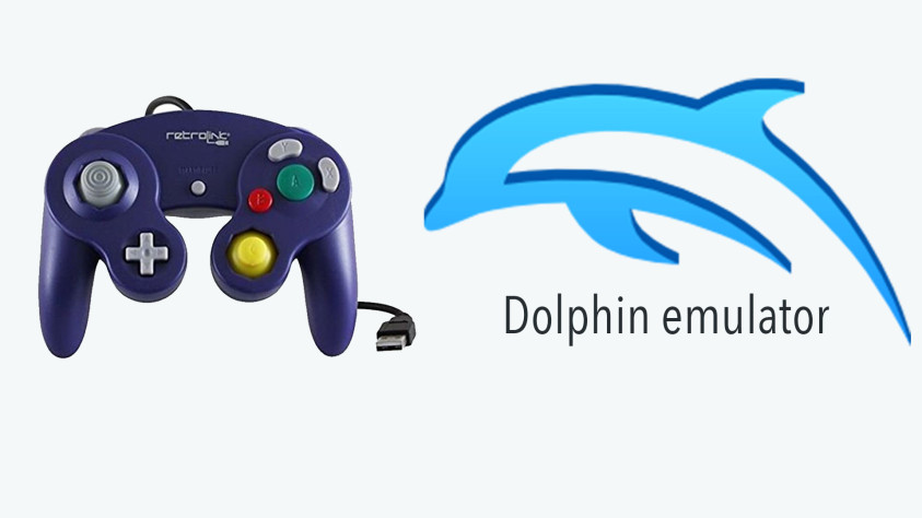 Имя эмулятора — прямая отсылка к рабочему названию GameCube. Во время производства Nintendo называла свою консоль «Дельфином».