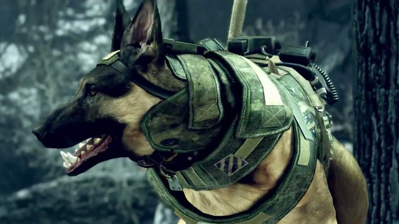 Разработчики Rainbow Six Siege думают ввести оперативника с собакой и стрелка по-македонски