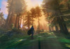 Valheim   5  