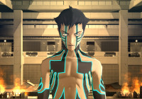  Shin Megami Tensei III  25  —     PC