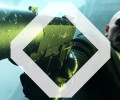 Слух: создатели Hitman занимаются фэнтези-эксклюзивом для Xbox