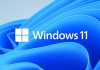  Windows 11 — ,     