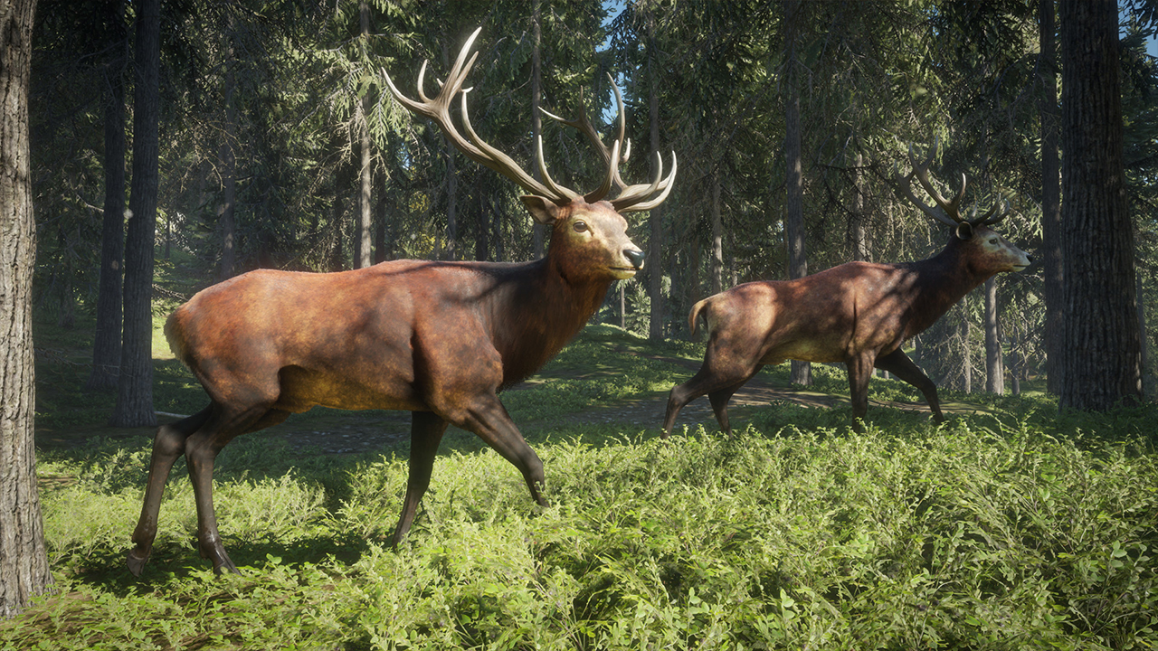 В Epic Games Store началась раздача симулятора охоты theHunter: Call of the Wild