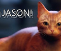 В Stray теперь можно не мяукать, а кричать «ДЖЕЙСОН!!!»