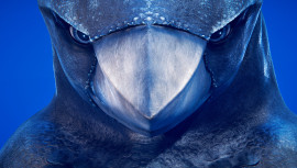 Анонс Glaciered — подводного экшена про динозавроптицу на заледеневшей Земле