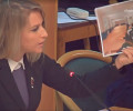 Профильный комитет Госдумы отклонил поправку о включении игр в законопроект о запрете пропаганды ЛГБТ