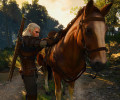 Благодаря некстген-апдейту в The Witcher 3 теперь можно погладить Плотву