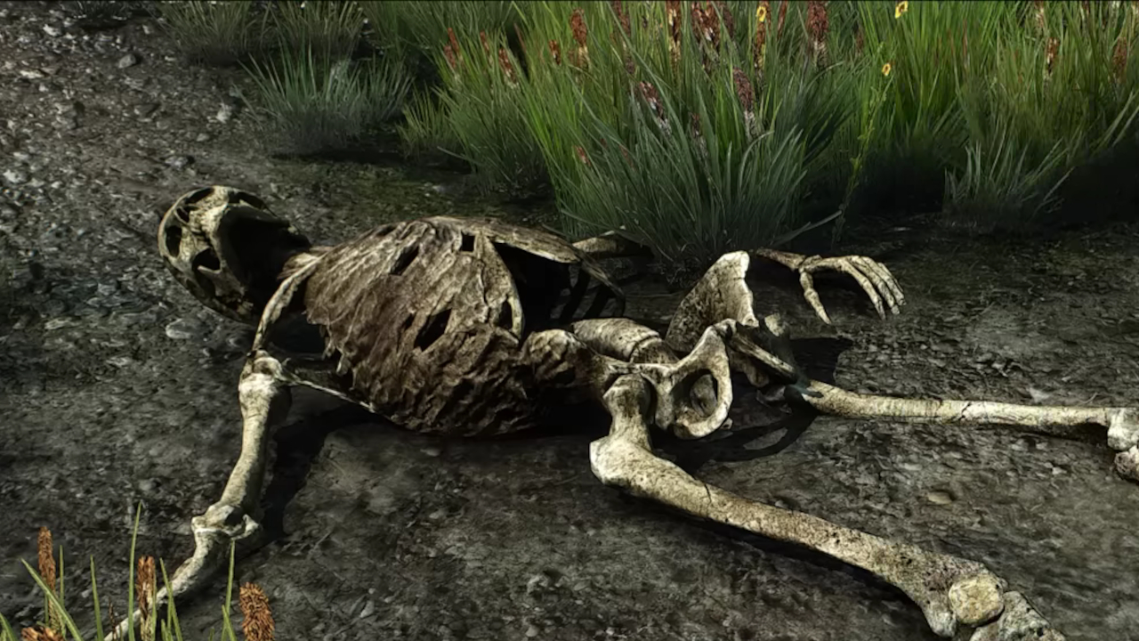 Видео: Скеллиге из некстген-версии мода для The Witcher 3