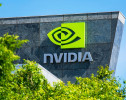 Google и NVIDIA выступили против сделки Microsoft и ActiBlizz