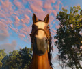 The Witcher 3 получила патч с улучшением производительности