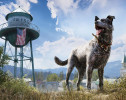 Far Cry 5 теперь работает при 60 fps на PS5 и Xbox Series
