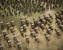Anvil Empires предложит мультиплеер на 1000 человек