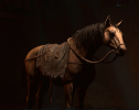 Blizzard исправила ошибку — лошадь в Diablo IV дадут после квеста