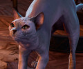 Baldur’s Gate III: побритый кот в хотфиксе и фрагмент русской озвучки от нейросети