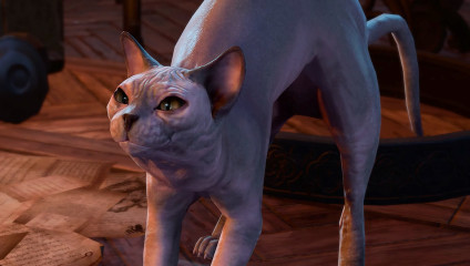 Baldur’s Gate III: побритый кот в хотфиксе и фрагмент русской озвучки от нейросети