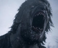 Инсайдер: анонс новой Resident Evil не за горами, а релиз в январе 2025-го