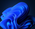 Похоже, Windows 11 стала самой популярной ОС для гейминга