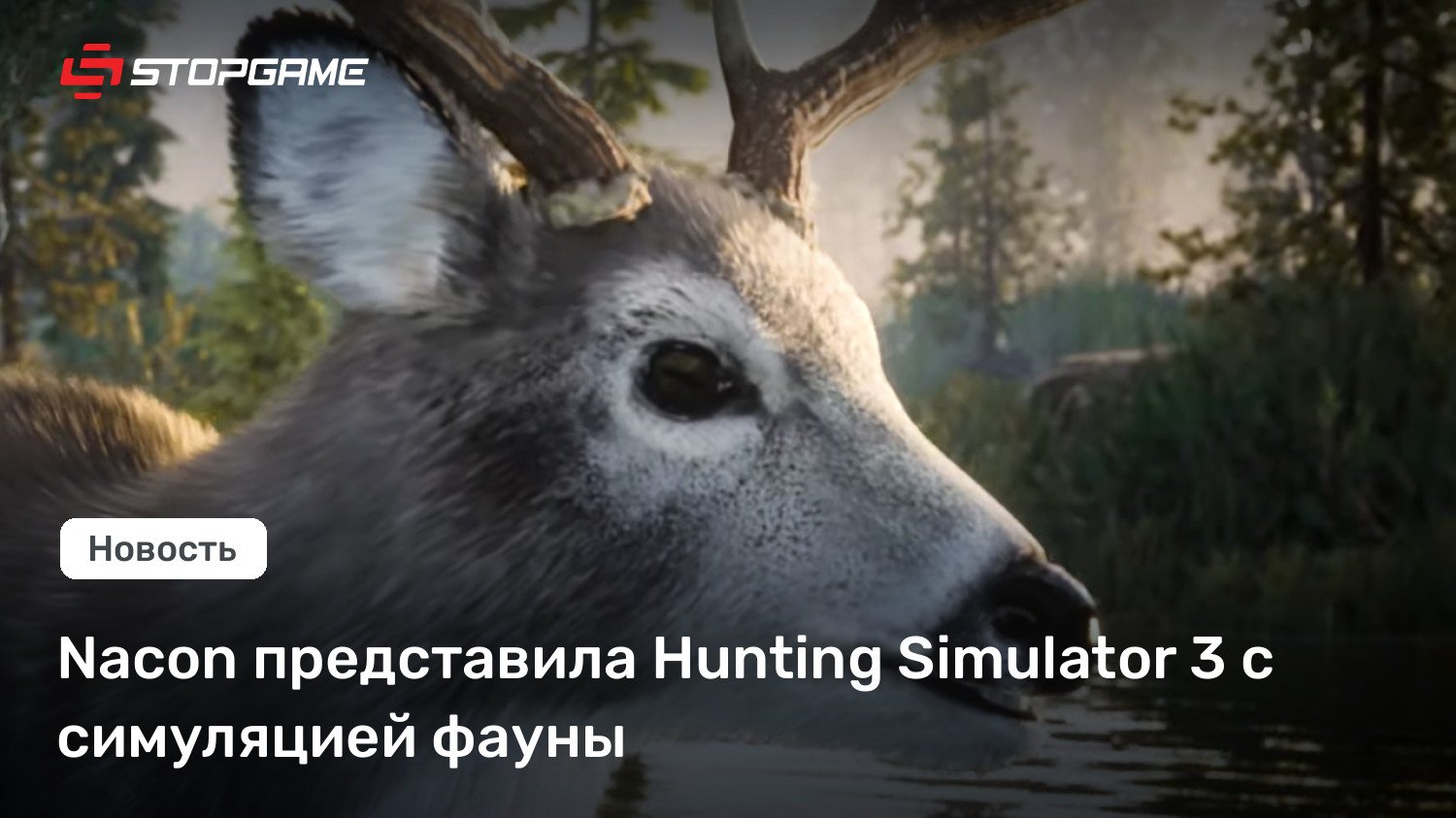 Nacon представила Looking out Simulator 3 с симуляцией фауны