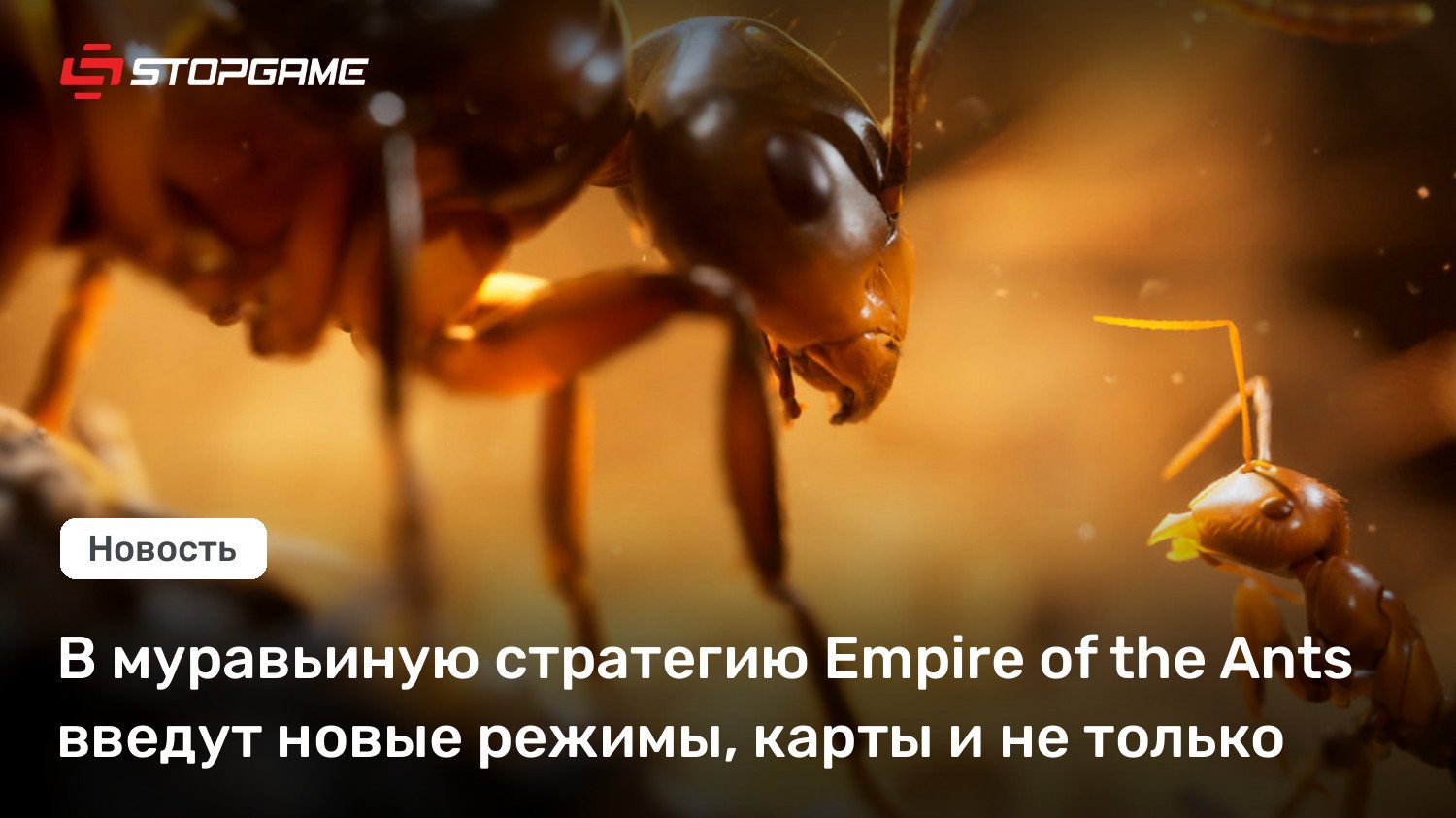 В муравьиную стратегию Empire of the Ants введут новые режимы, карты и не только