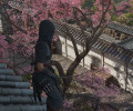 Доска целей и помощь разведчиков — об исследовании мира в Assassin's Creed Shadows