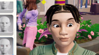        The Sims