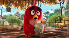  «Angry Birds   3»    2027-