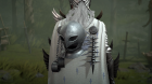 Blizzard     Diablo IV   Berserk