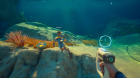     Subnautica 2   