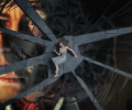 Ice-Pick Lodge показала перемотку времени в трейлере Pathologic 3