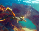 Шрайер: авторам Subnautica 2 продлят срок по выполнению целей для получения денежного бонуса
