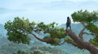  Assassin’s Creed Shadows —  ,    