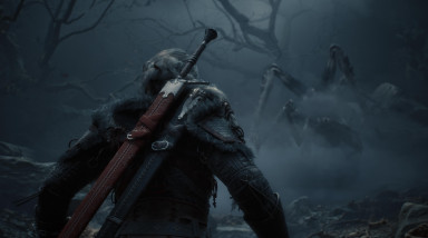 Похоже, в The Witcher IV перекочуют какие-то элементы из новой книги Сапковского