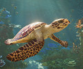 Состоялся анонс Planet Zoo 2