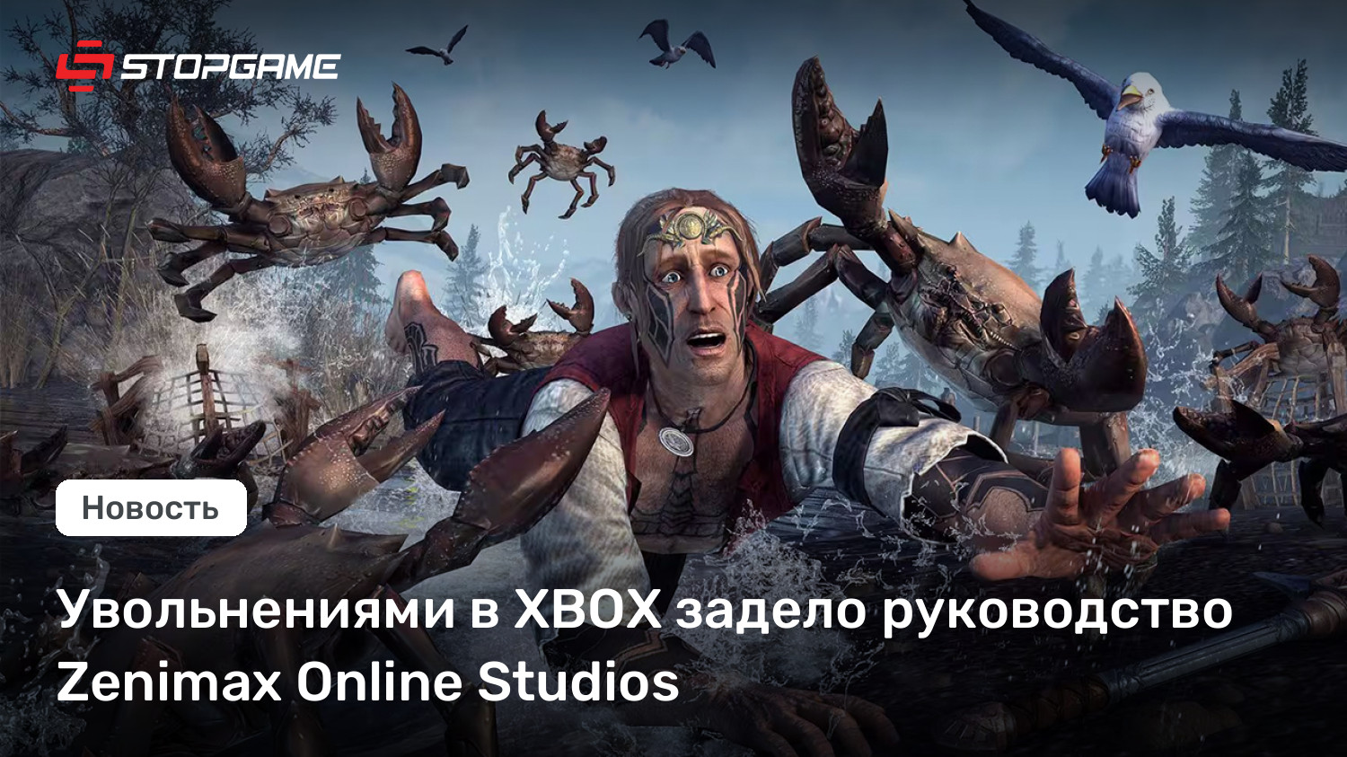 Увольнениями в XBOX задело руководство Zenimax Online Studios