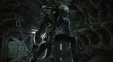 Aliens: Fireteam Elite на Switch стала полностью недоступна из-за отключения серверов
