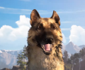 Приключение девушки и овчарки Hubert выйдет и на PlayStation 5