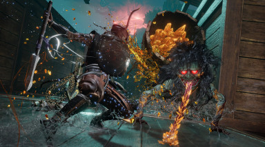 Первое DLC для Nioh 3 не впечатлило игроков