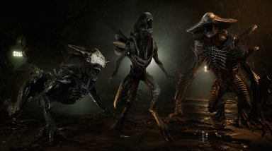 В студии Cold Iron прошли сокращения на фоне проблем с Aliens: Fireteam Elite 2