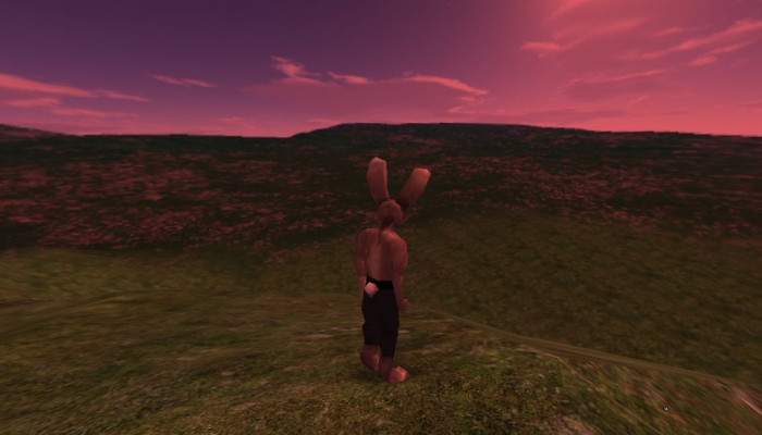 к игре Lugaru HD