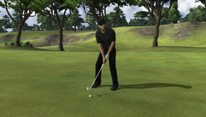 к игре John Daly's ProStroke Golf
