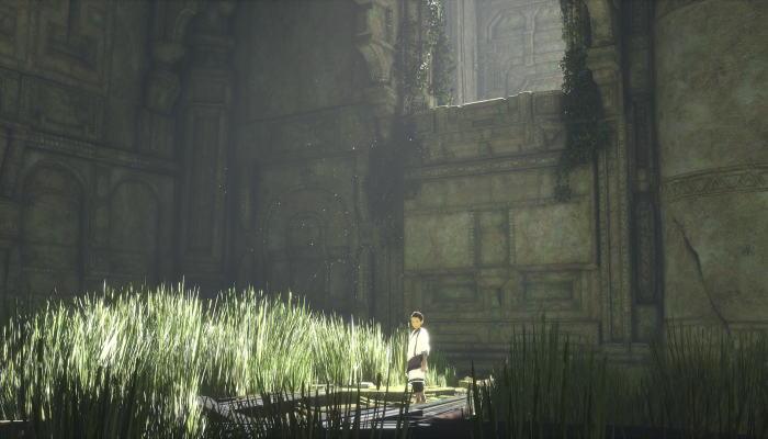 к игре Last Guardian, The