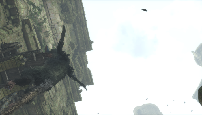 к игре Last Guardian, The