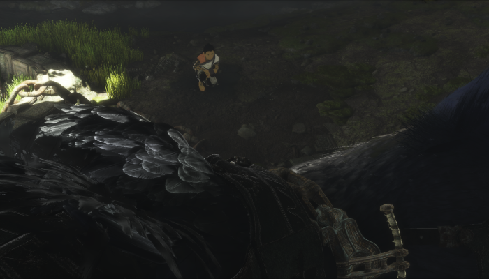 к игре Last Guardian, The