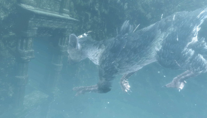 к игре Last Guardian, The