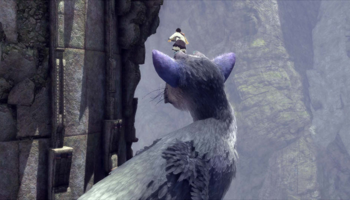 к игре Last Guardian, The