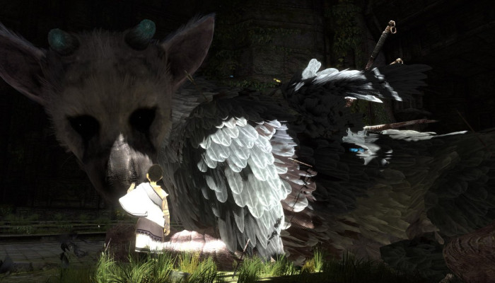 к игре Last Guardian, The