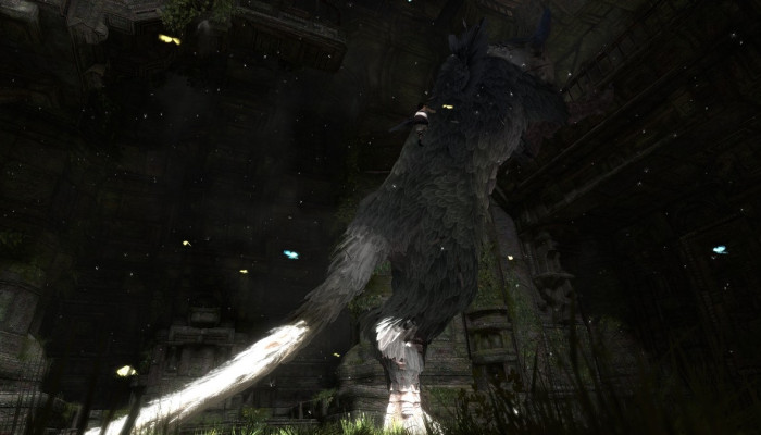 к игре Last Guardian, The