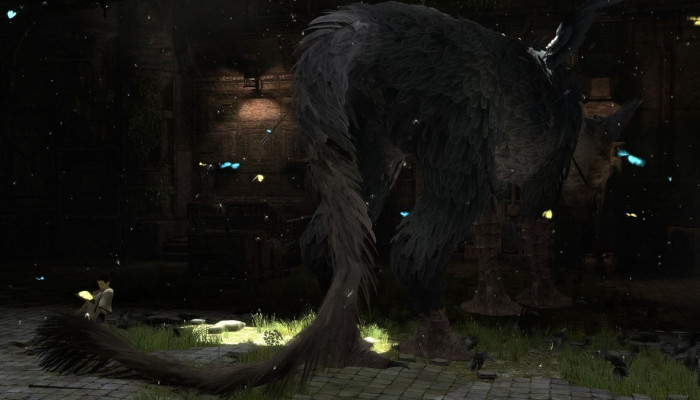 к игре Last Guardian, The